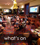 What's on